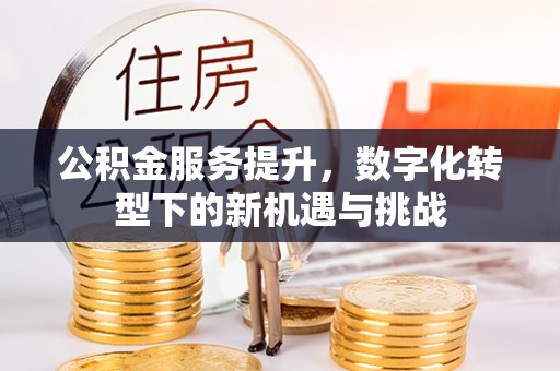 通江公积金服务提升，数字化转型下的新机遇与挑战