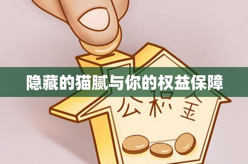 通江隐藏的猫腻与你的权益保障