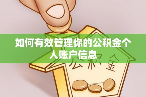 通江如何有效管理你的公积金个人账户信息