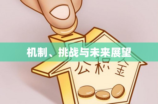 通江机制、挑战与未来展望