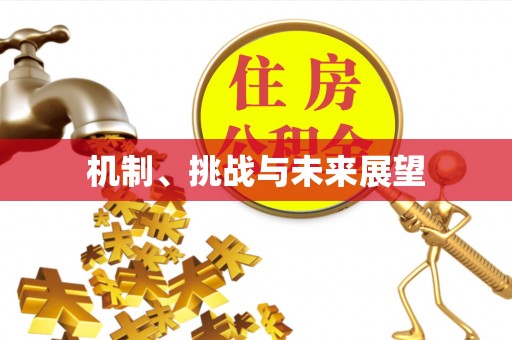 通江机制、挑战与未来展望